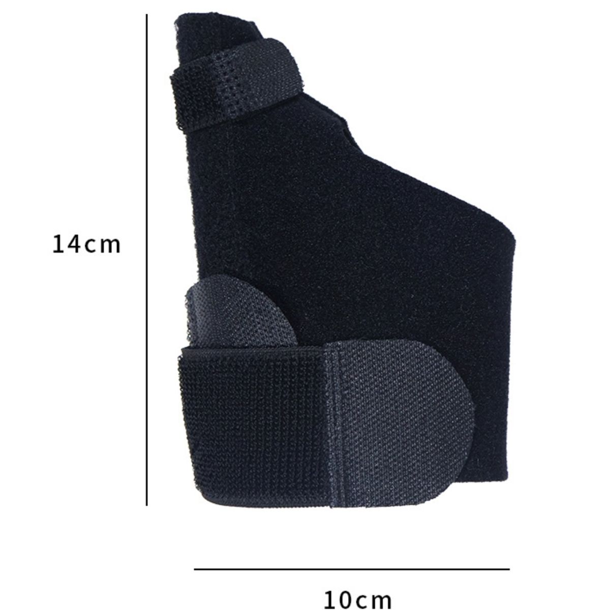 ATURE - Apoyo Fijo De La Articulación Del Hueso Del Pulgar