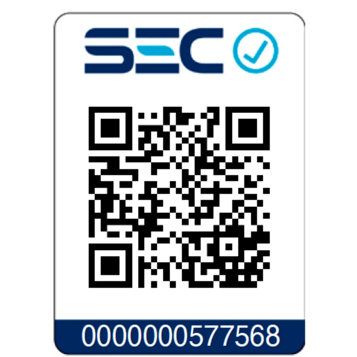 MULTILASER - Cepillo Secador 2 en 1 Multi Compacto EB116