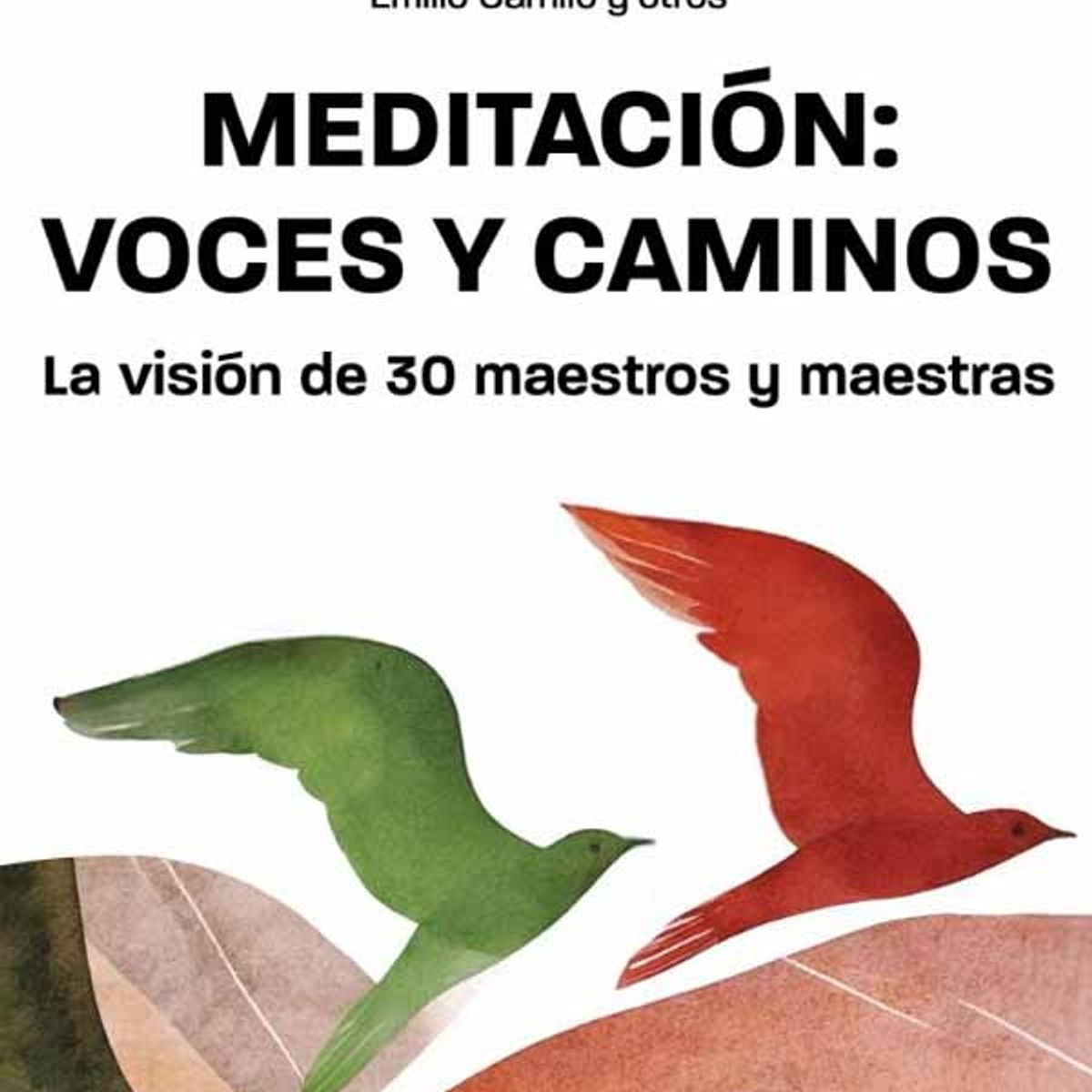 ANTARTICA LIBROS - Meditacion Voces Y Caminos