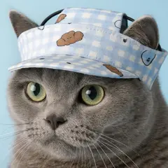 SUKEA - Gorro Protecció Solar Y Ajustable Sombrero Para Perro Rosa M
