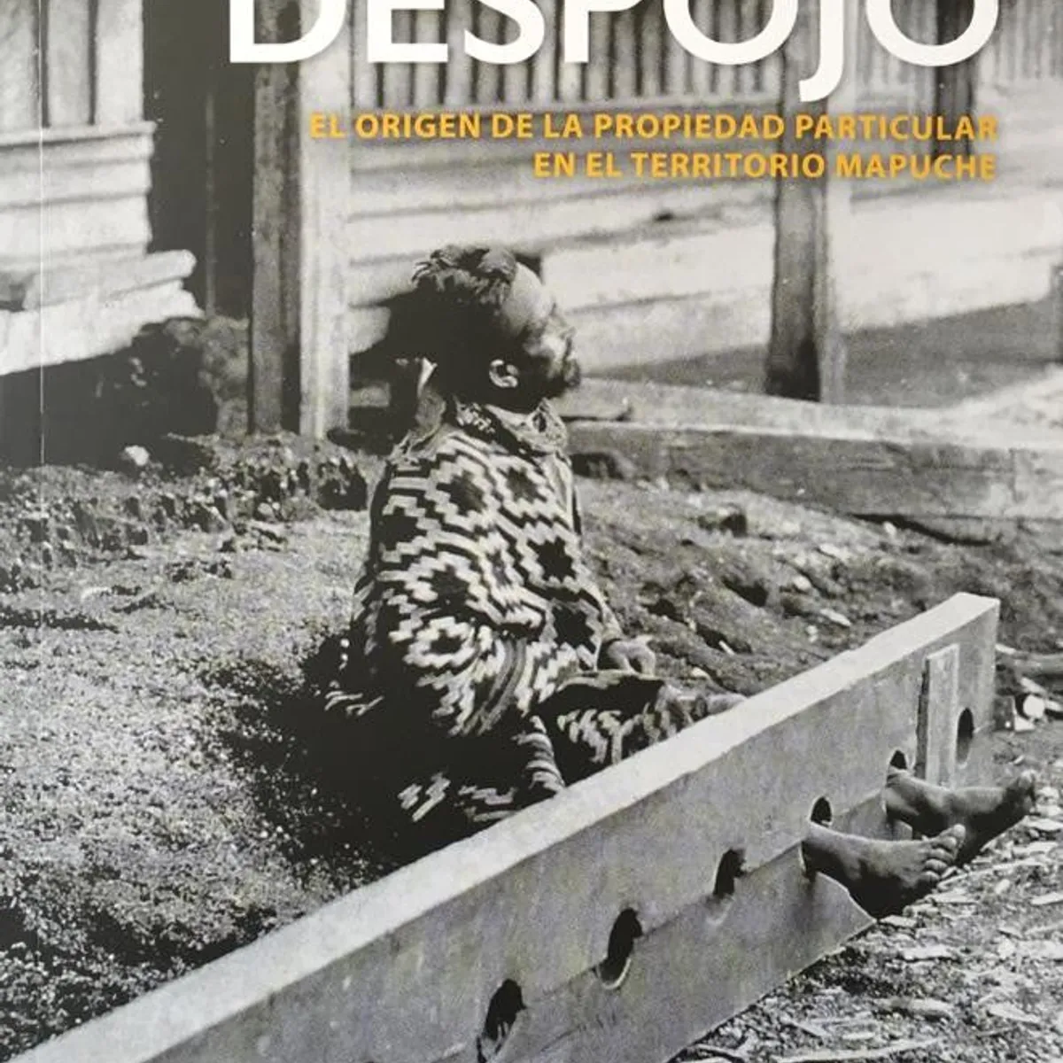 PEHUEN - LA HISTORIA DEL DESPOJO