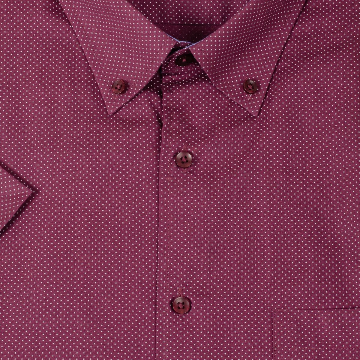 MOSS - Camisa Verona