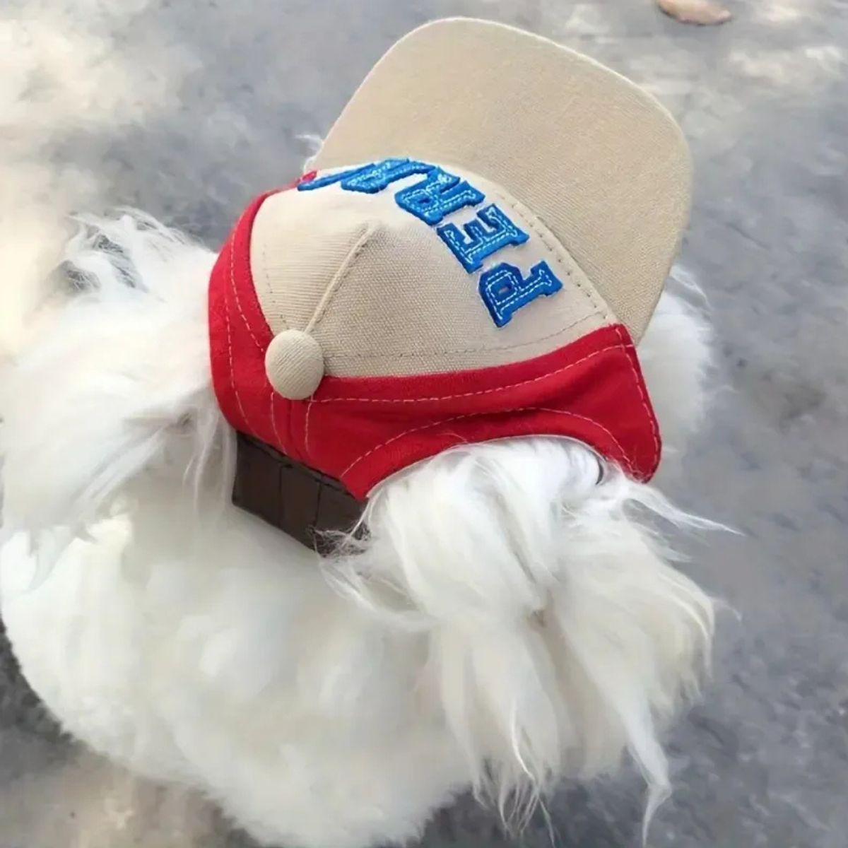 SUKEA - Gorro Protección Solar Ajustable Sombrero Para Perro Gato Rojo L