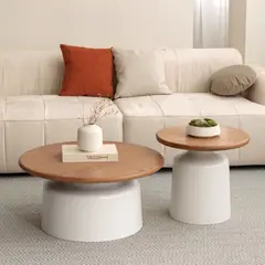 SANTU HOME & DECO - Mesa de Centro Estilo Nórdico Doble Oval