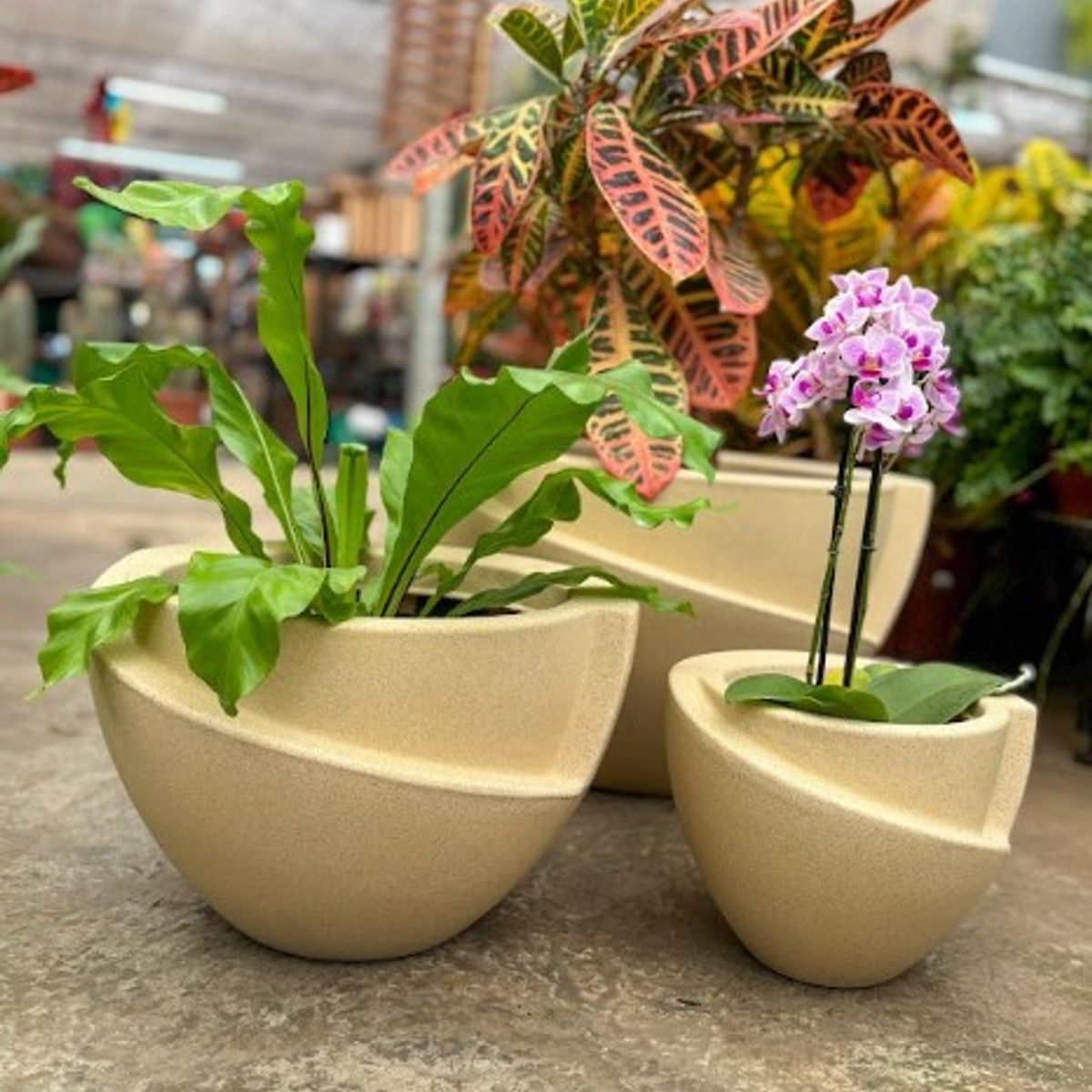 GENERICO - MACETERO BEIGE MODELO CURITIBA 24CM ALTO