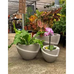 GENERICO - MACETERO CEMENTO MODELO CURITIBA 32CM ALTO