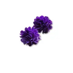 GENERICO - Aros Pendientes Morado New Collection