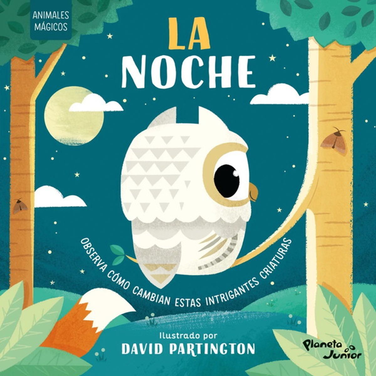 ANTARTICA LIBROS - Animales Magicos La Noche