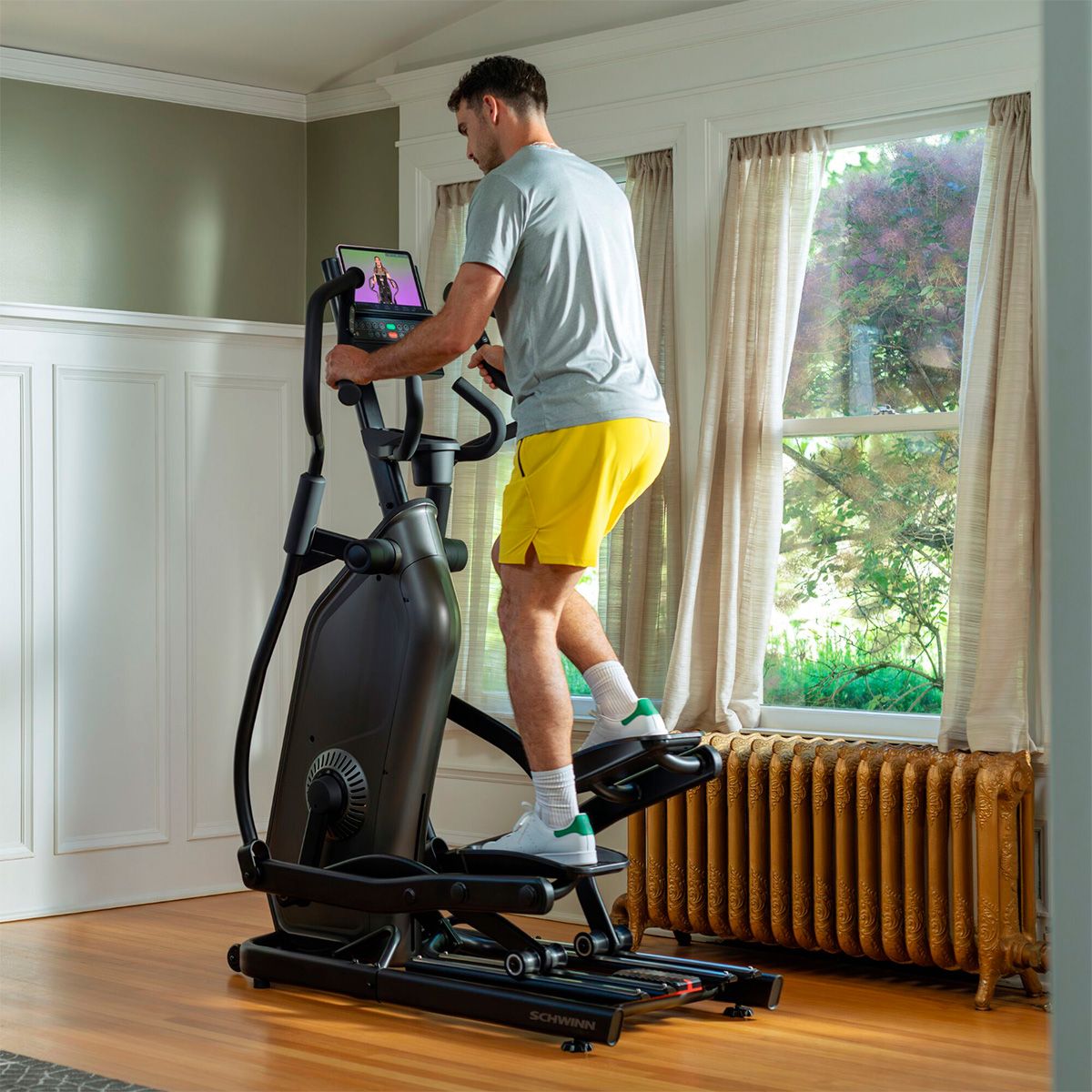 SDFIT - Elíptica Bicicleta Schwinn Deluxe 590E