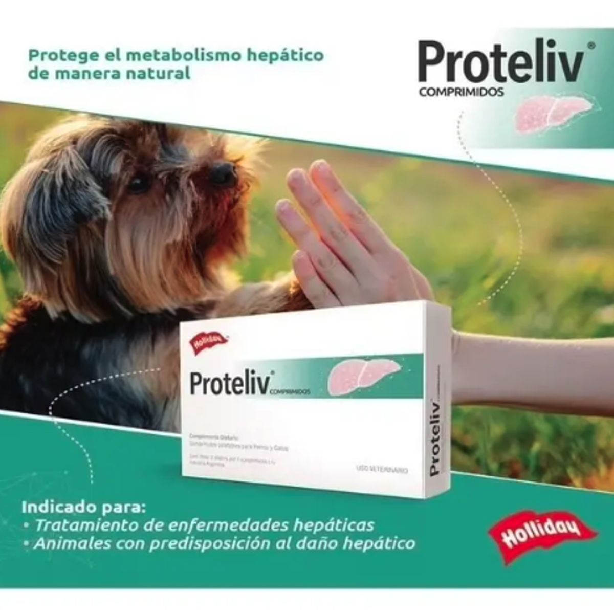GENERICO - Proteliv Suplemento Natural Para Macotas Perros Y Gatos 21c