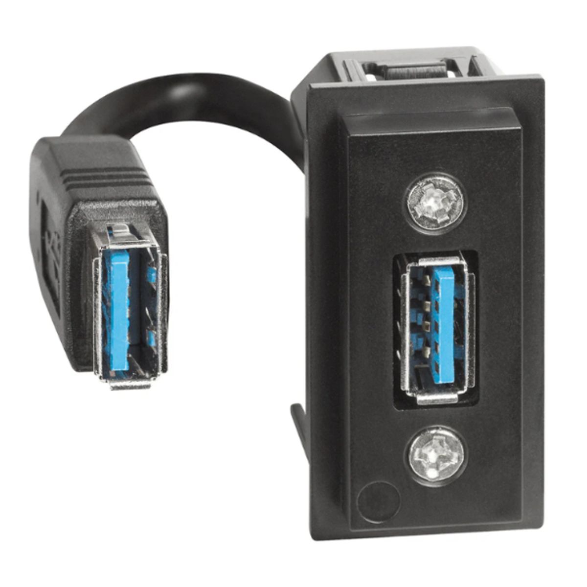 BTICINO - Toma Usb Para Extension Bticino Living Now