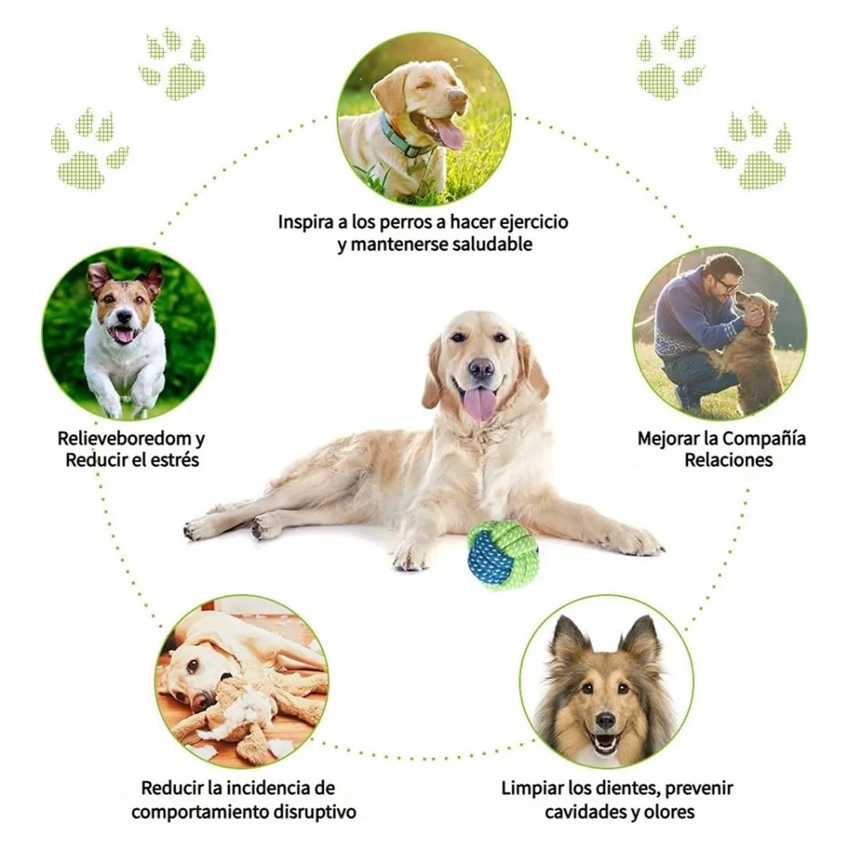 MUNDO MAGIA - Set 10 Juguetes Para Mascotas, Pelota De Cuerda, Disco Y Más
