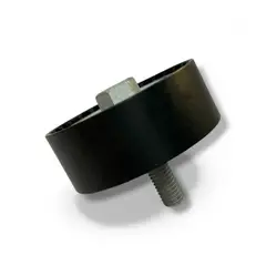 GENERICO - Rodamiento Tensor Compatible Con Tiggo 8 2020-2024