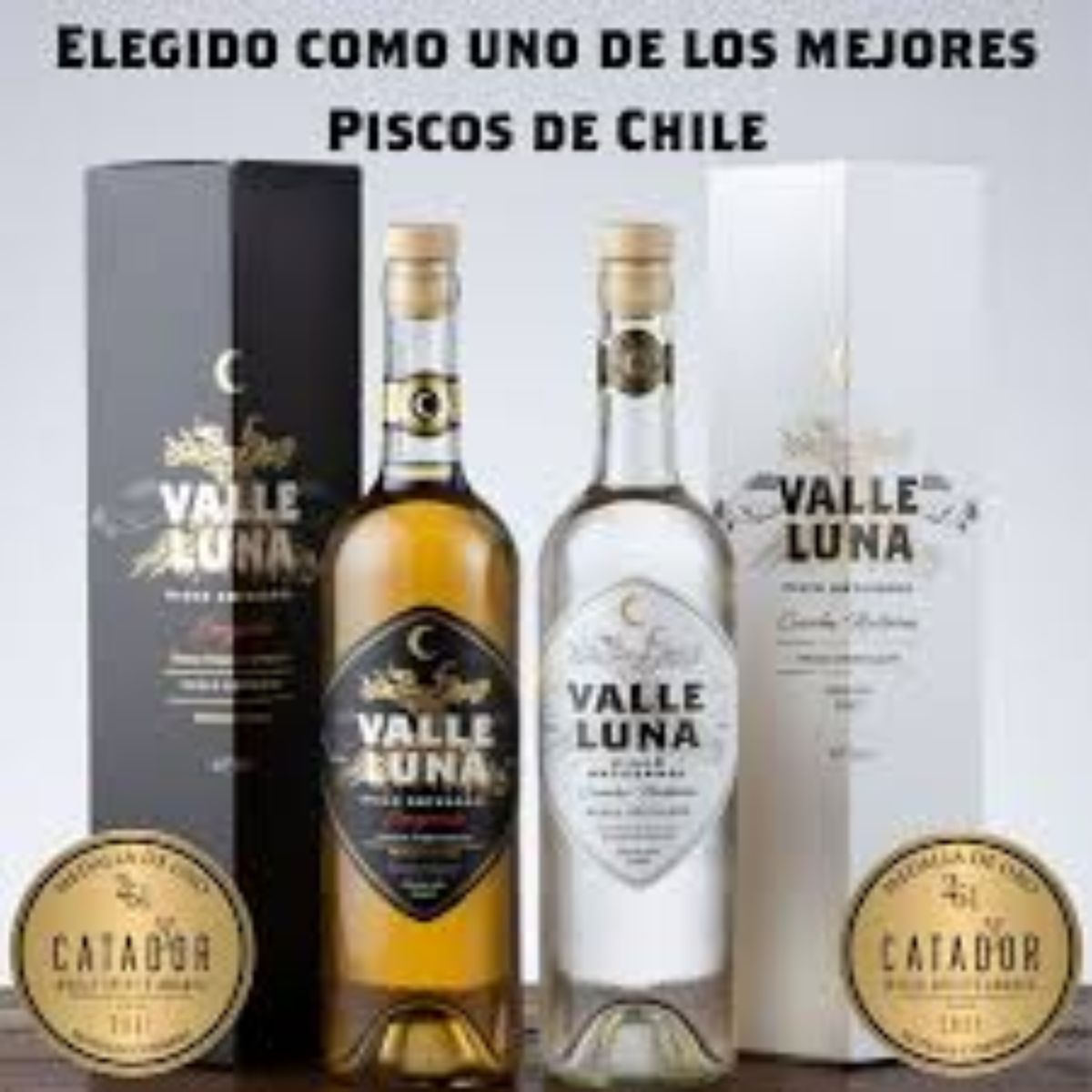 EVERESTT - Pisco Valle Luna Envejecido 40° 750cc