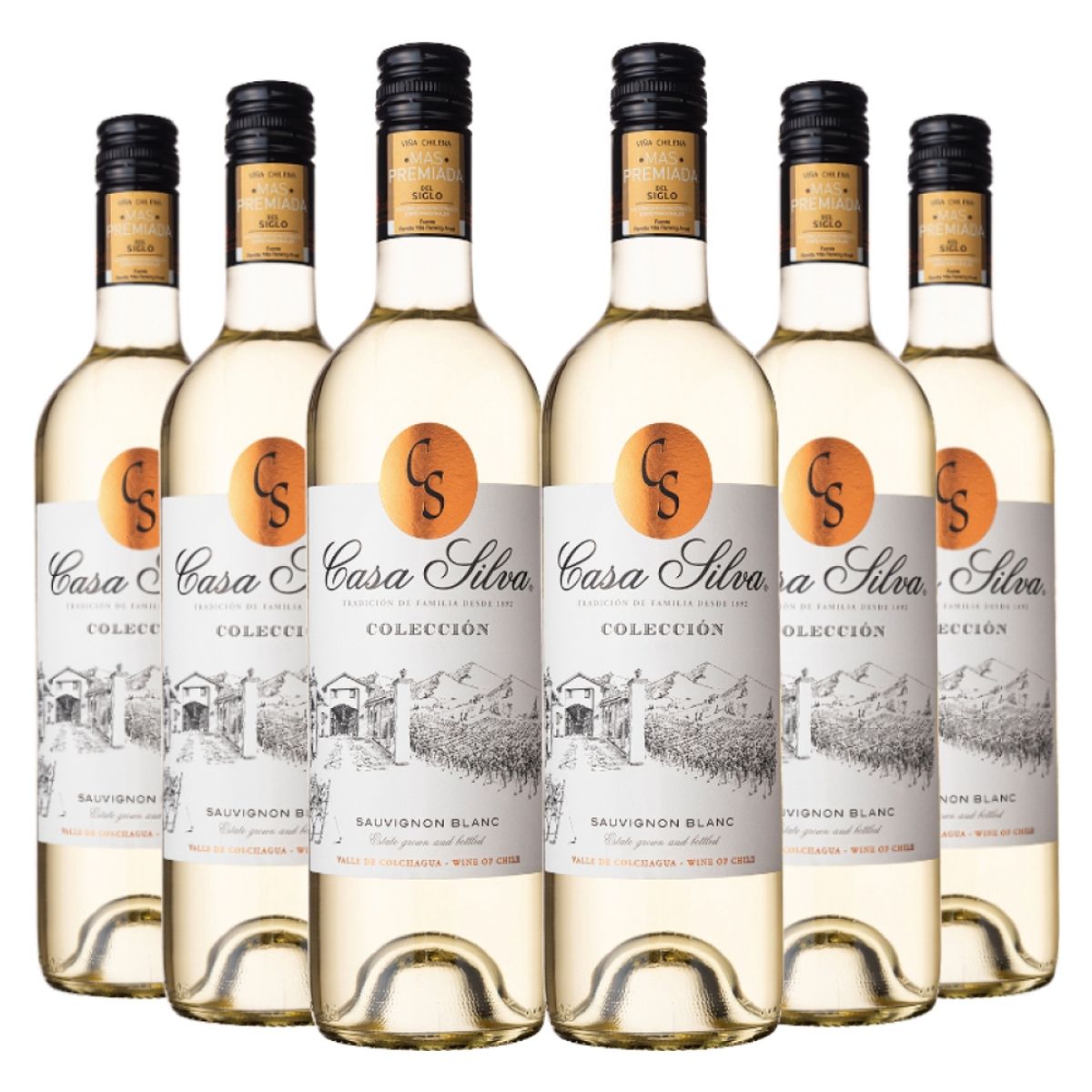 CASA SILVA - 6 vinos Casa Silva Coleccion Sauvignon Blanc
