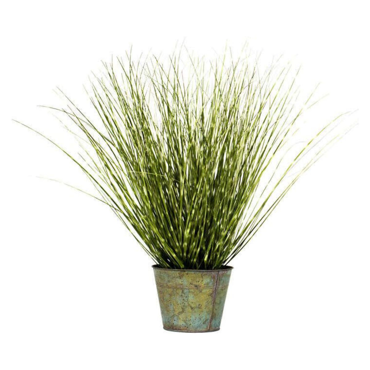 THE GARDEN - Grass Redondo Zebra 64 Cm