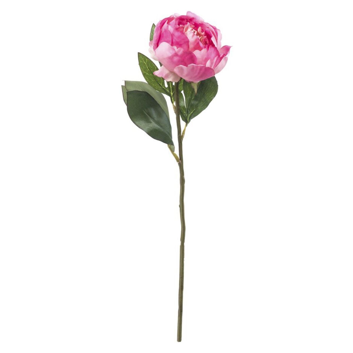 THE GARDEN - Peonía Rosada 45 Cm