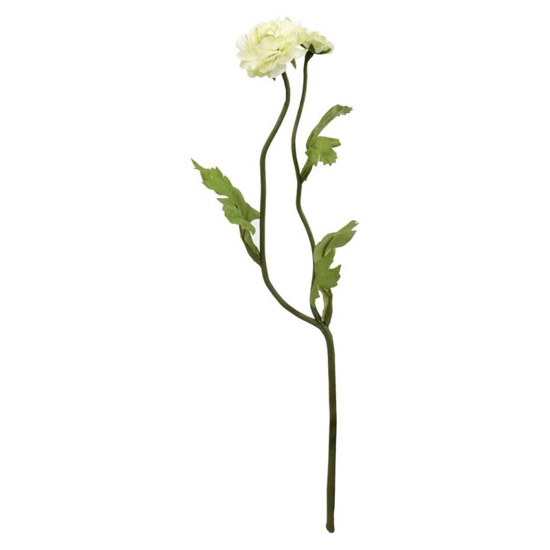 THE GARDEN - Ranúnculo Doble Green 38 Cm
