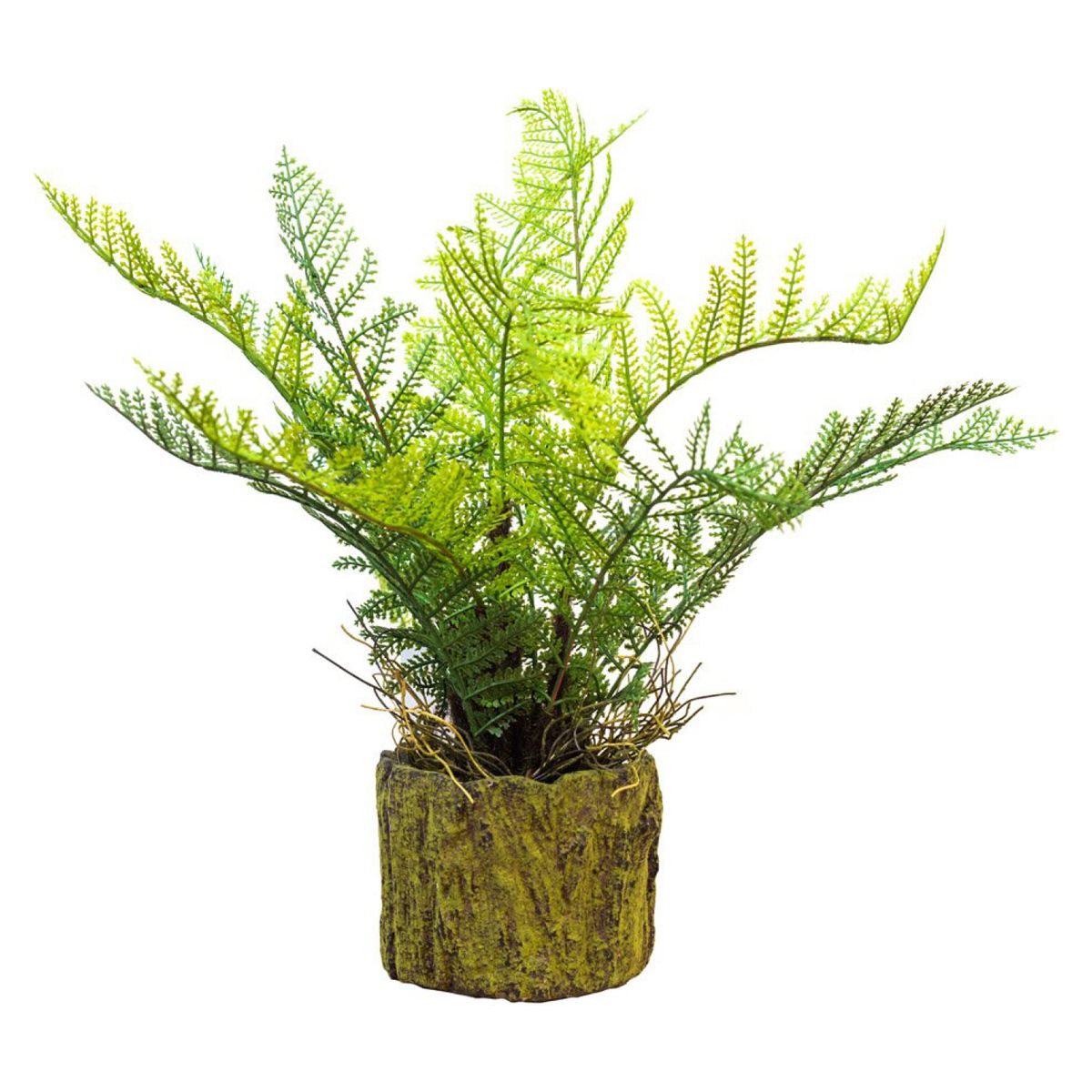 THE GARDEN - Helecho En Macetero Rústico