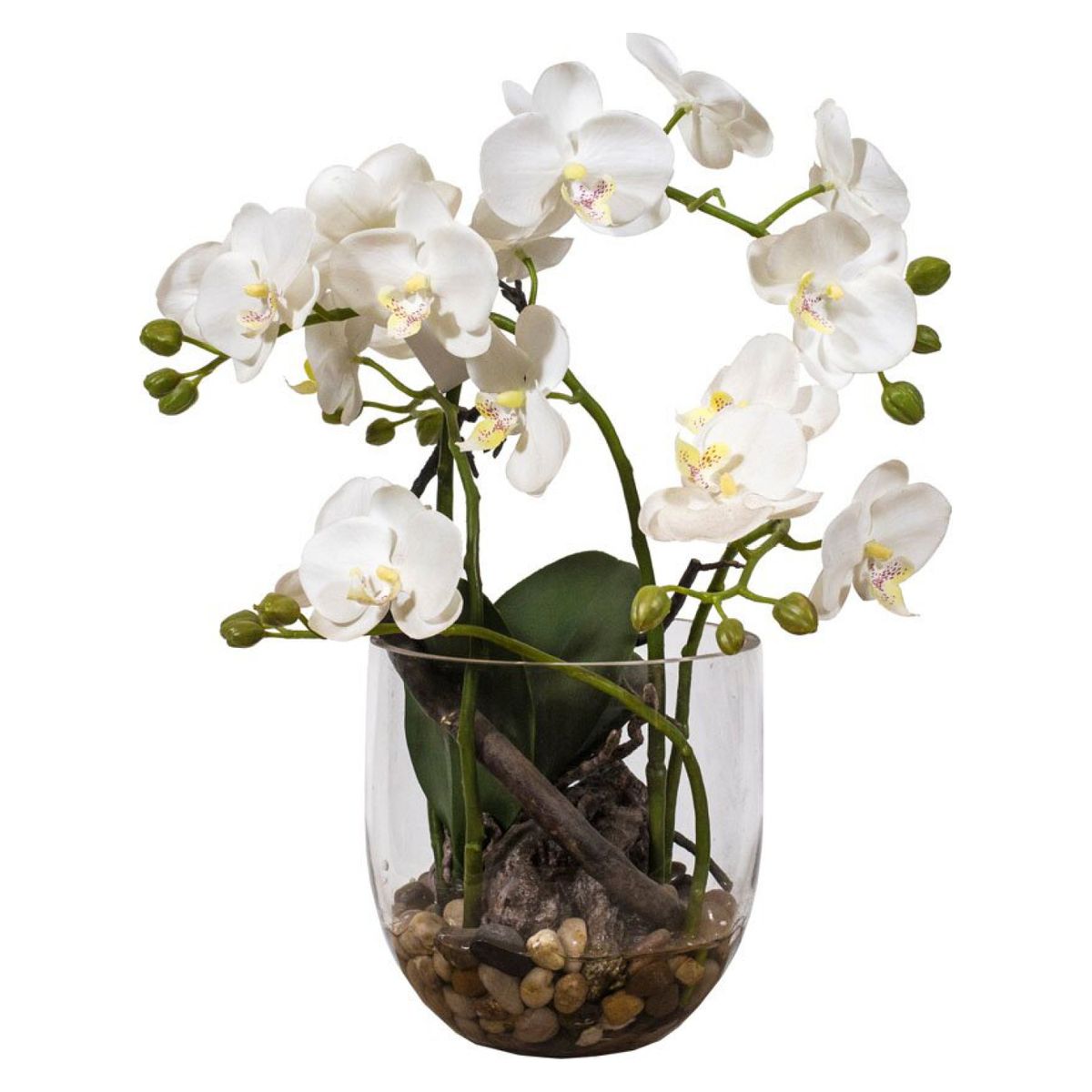 THE GARDEN - Orquídea En Macetero De Vidrio 40 Cm