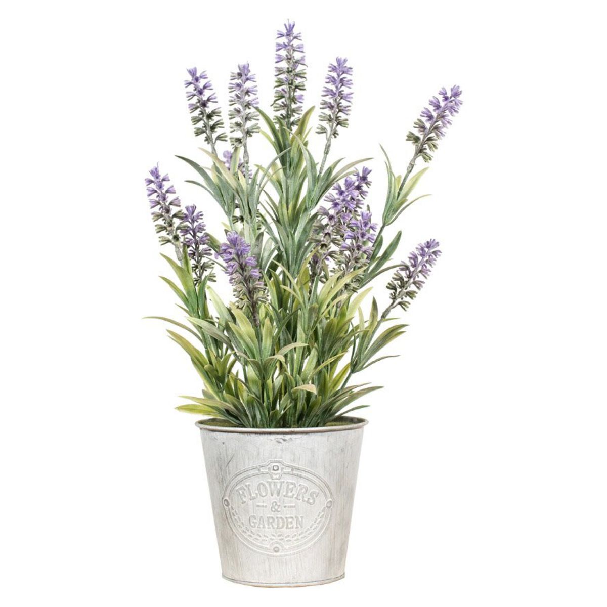 THE GARDEN - Lavanda En Balde Redondo 40 Cm