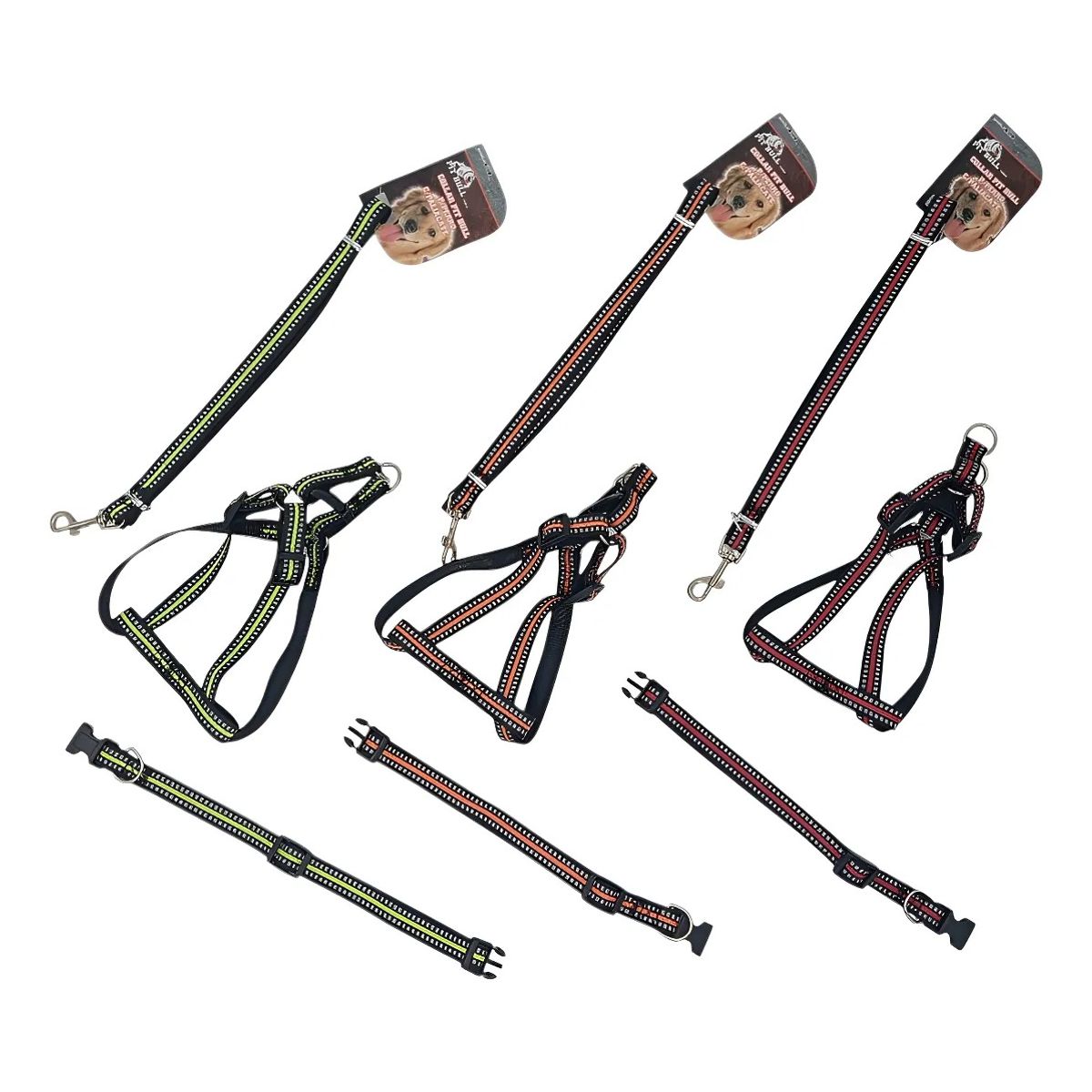 DEFENSOR FOREVER - X3 Correa Arnés Y Collar Para Perros Pequeños Talla S