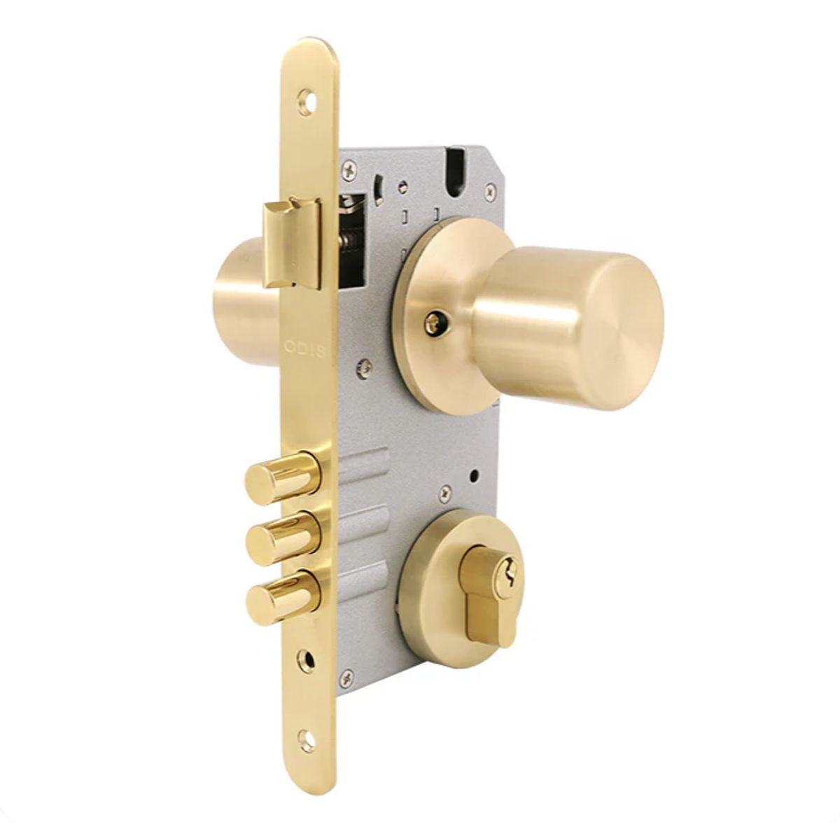 SCANAVINI - CHAPA SCANAVINI 4180-BSLBSL TUBULAR