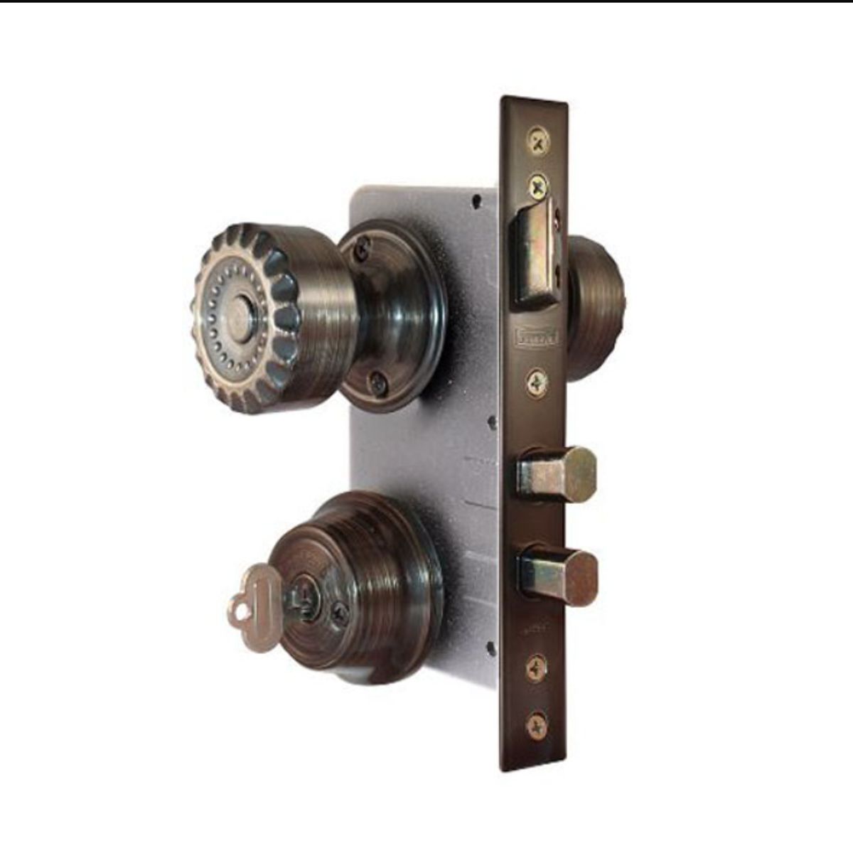 SCANAVINI - CHAPA SCANAVINI 7180-BELBEL TUBULAR