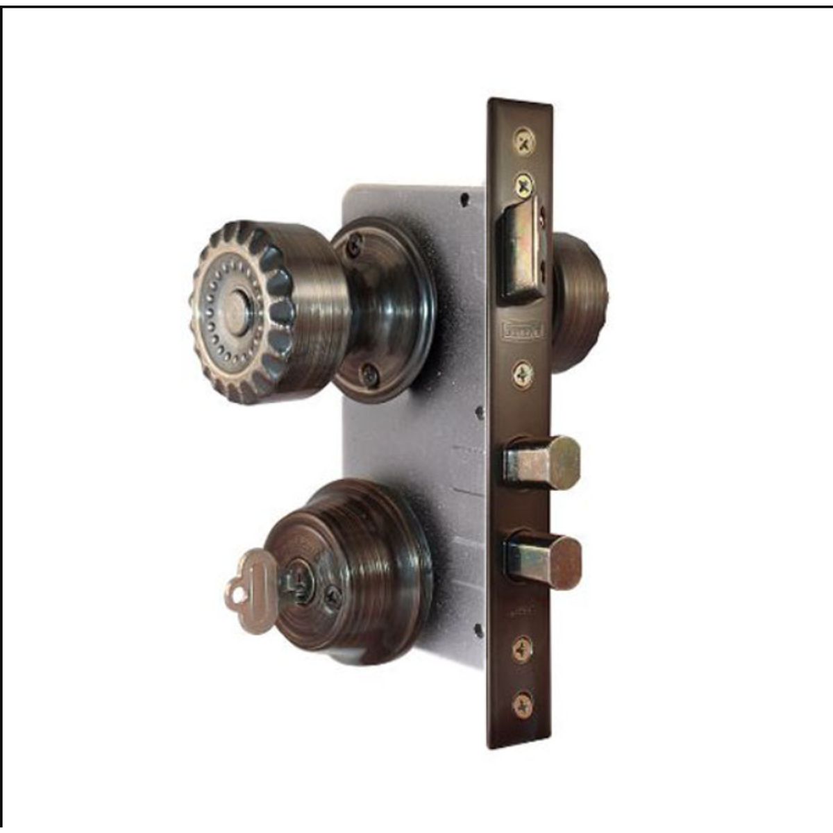 SCANAVINI - CHAPA SCANAVINI 7180-BELBEL TUBULAR