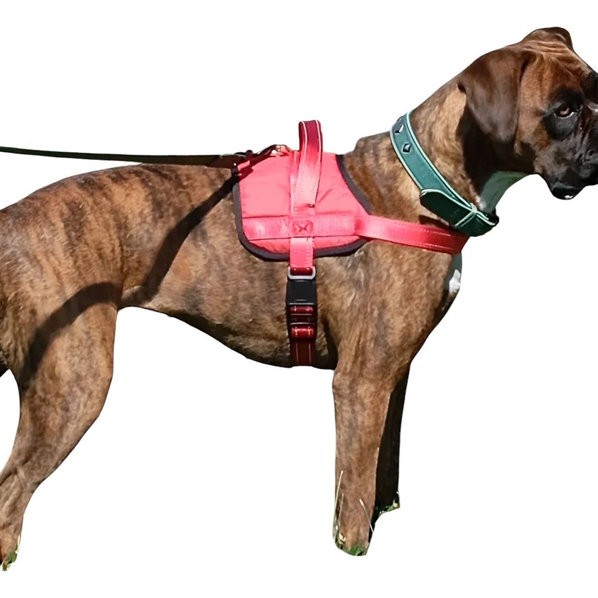DEFENSOR FOREVER - Arnés Talla L Ajustable Para Perros Mascotas Paseo Color Rojo