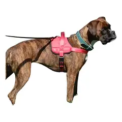 DEFENSOR FOREVER - Arnés Talla L Ajustable Para Perros Mascotas Paseo Color Rojo