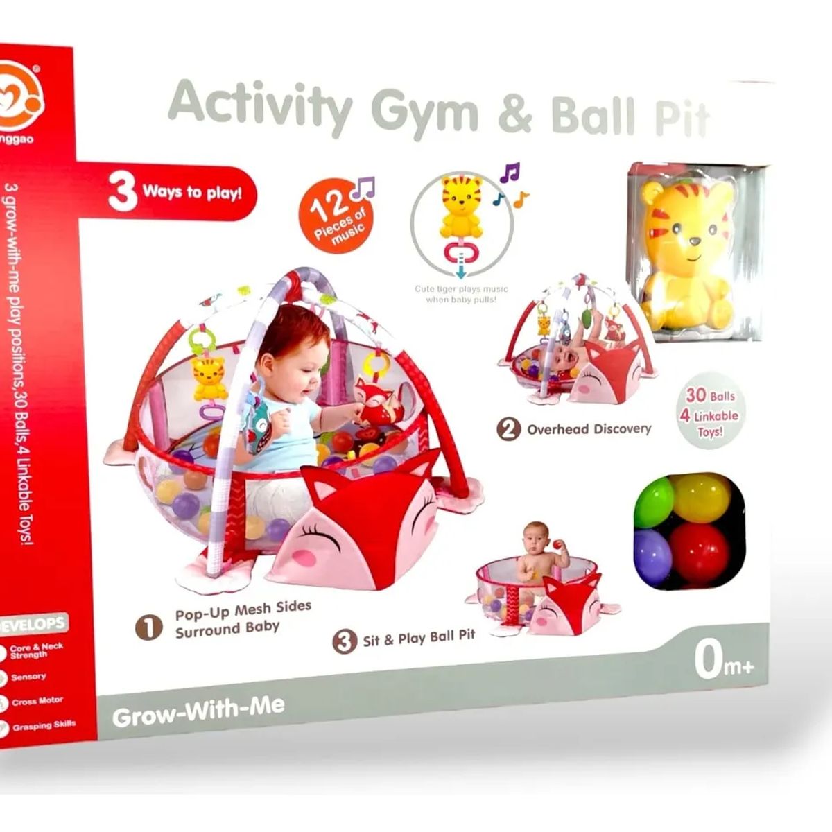GENERICO - Gimnasio Bebe Zorrito Piscina Didáctica
