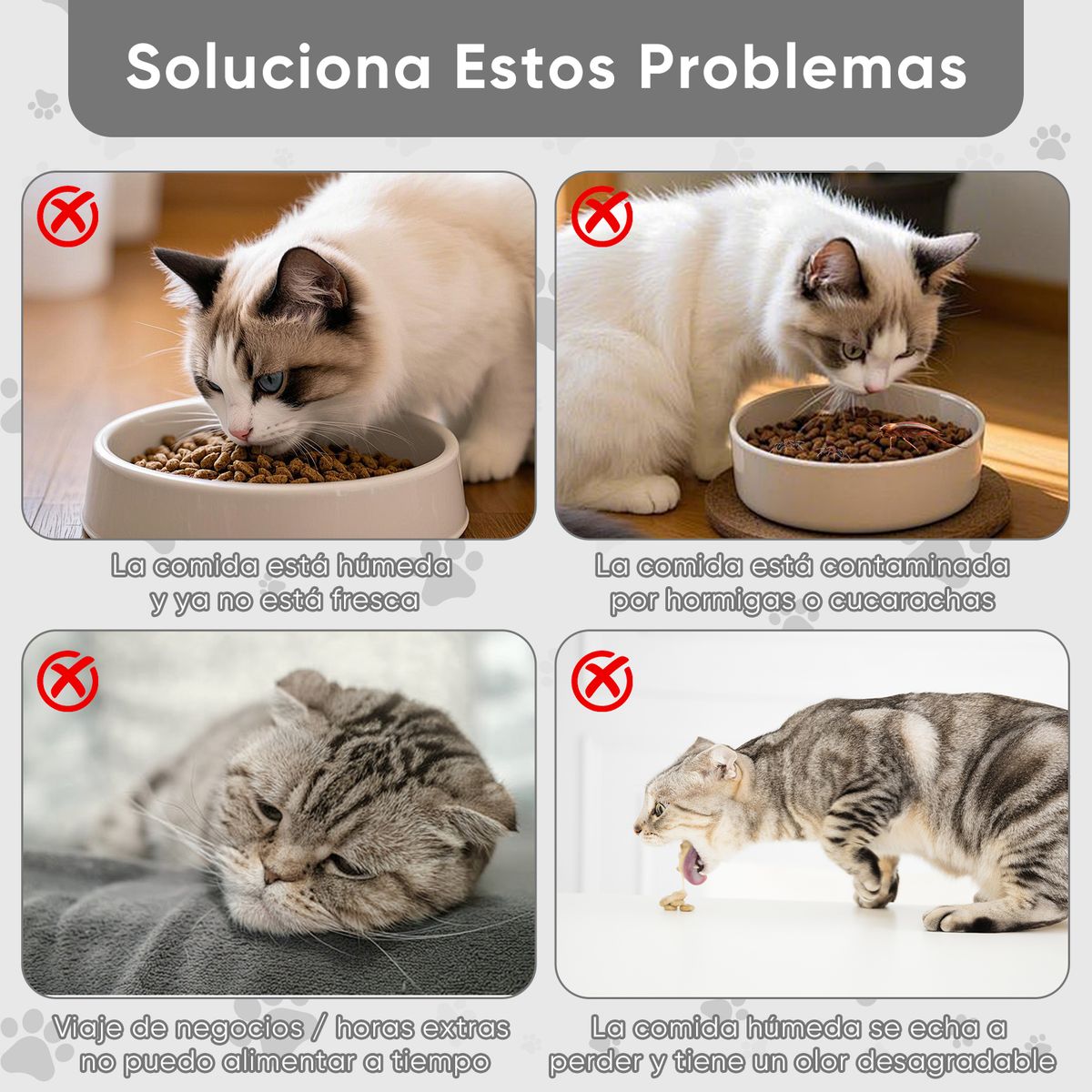 AIZO - 2 Plato De Comida Automatico Temporizador Para Perros Gatos