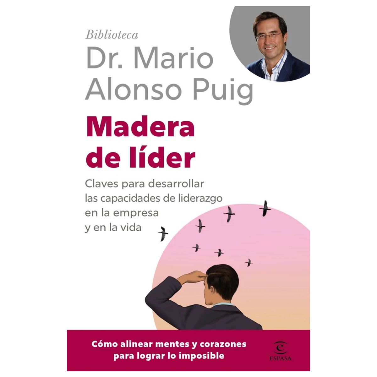 HITWAY MUSIC - MADERA DE LÍDER TAPA BLANDA - MARIO ALONSO PUIG - LIBRO