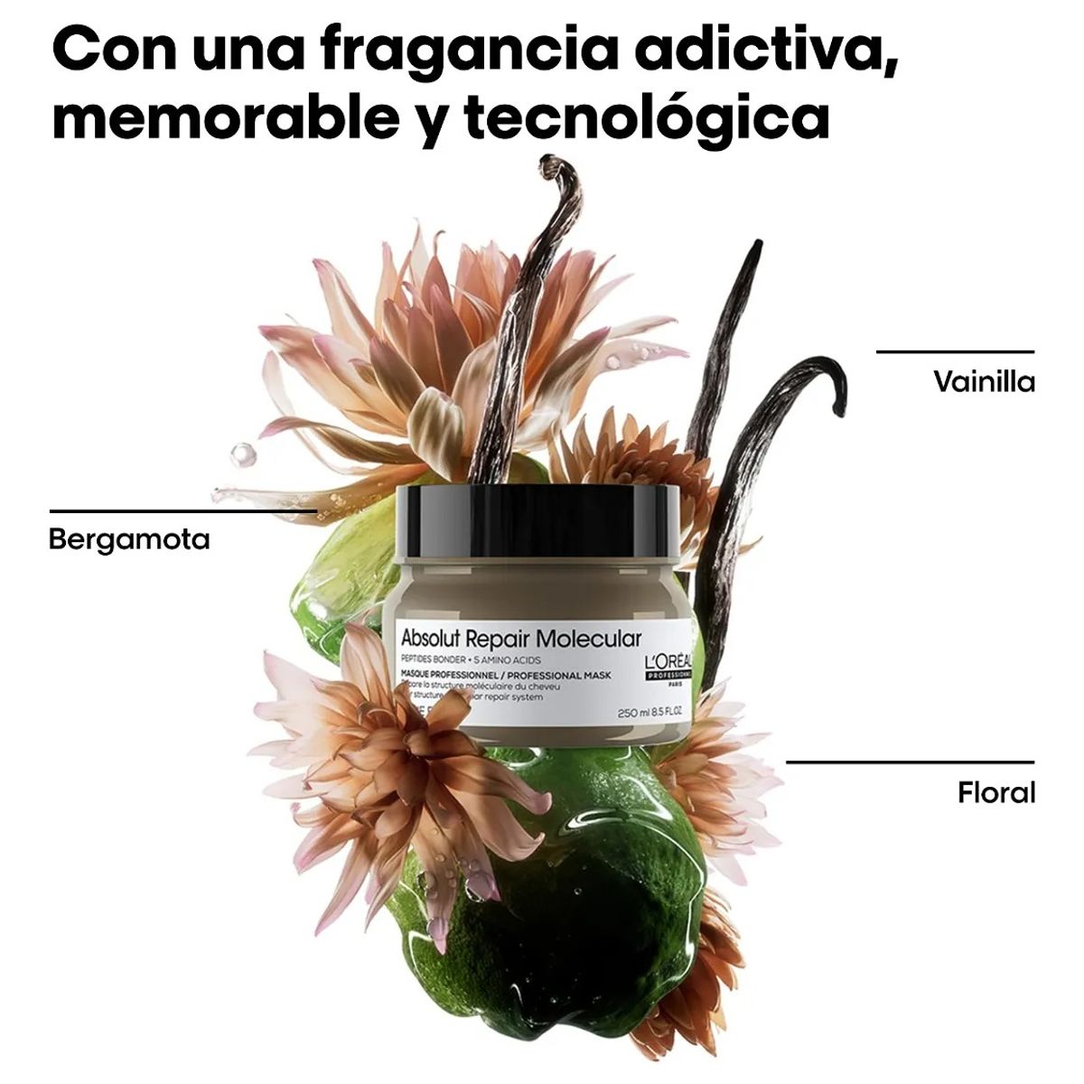 LOREAL PROFESSIONNEL - Máscara Loreal Absolut Repair Molecular 250ml