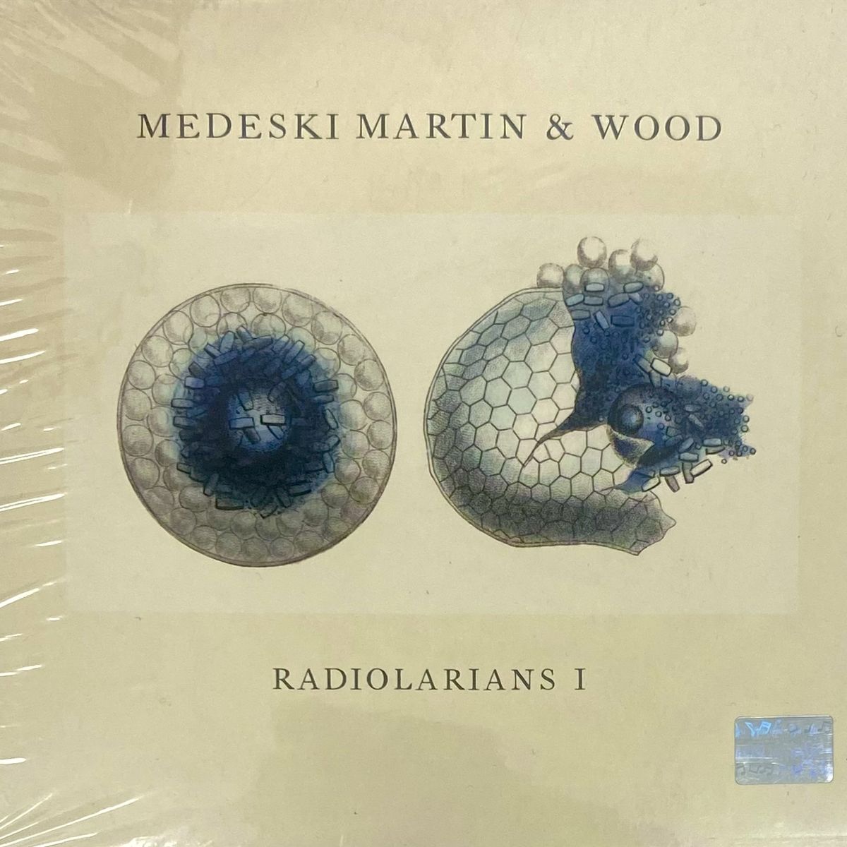 GENERICO - MEDESKI MARTIN & WOOD - RADIOLARIANS I / CD