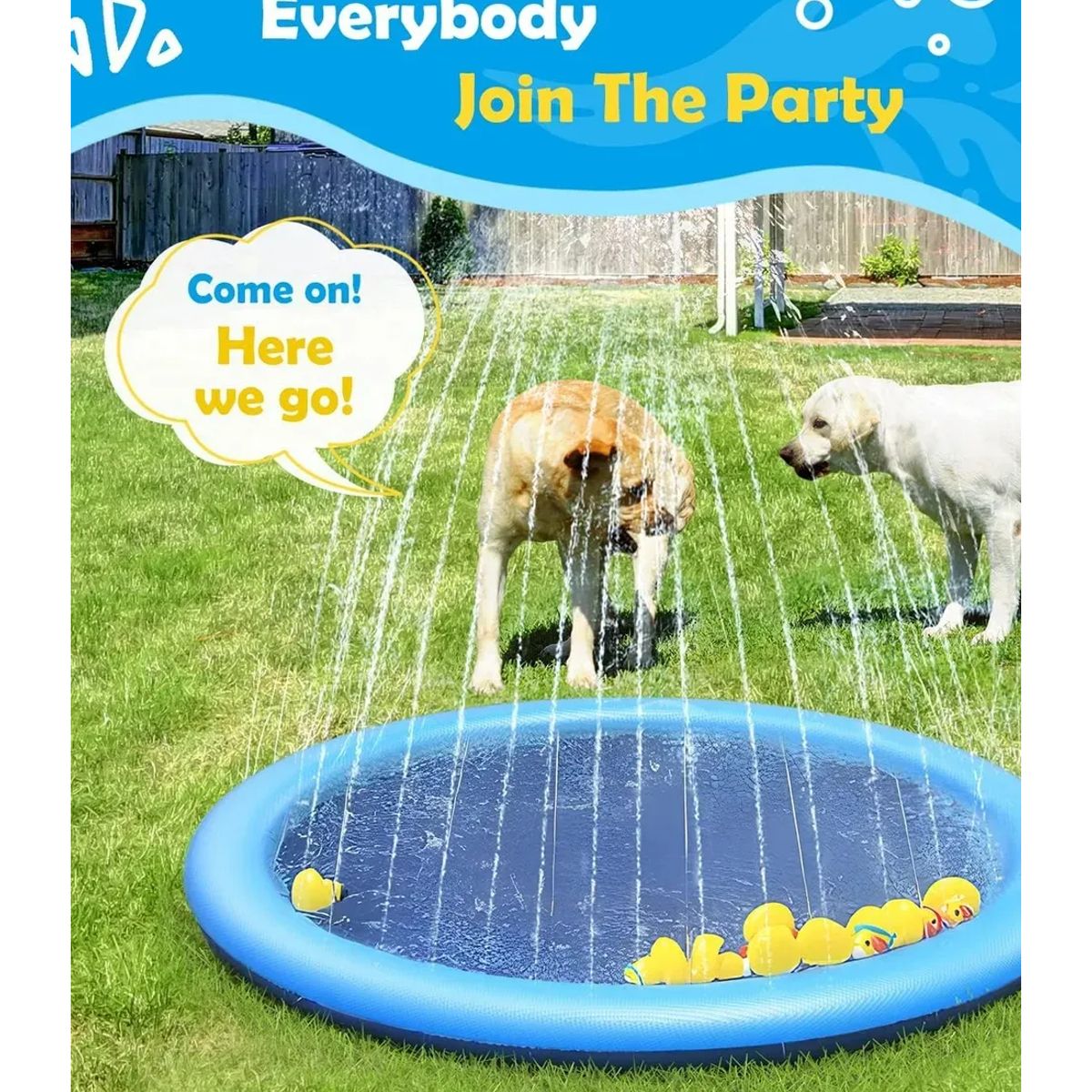 NO LOGO - Piscina Macotas Bañera Plegable Piscina Perros Redonda