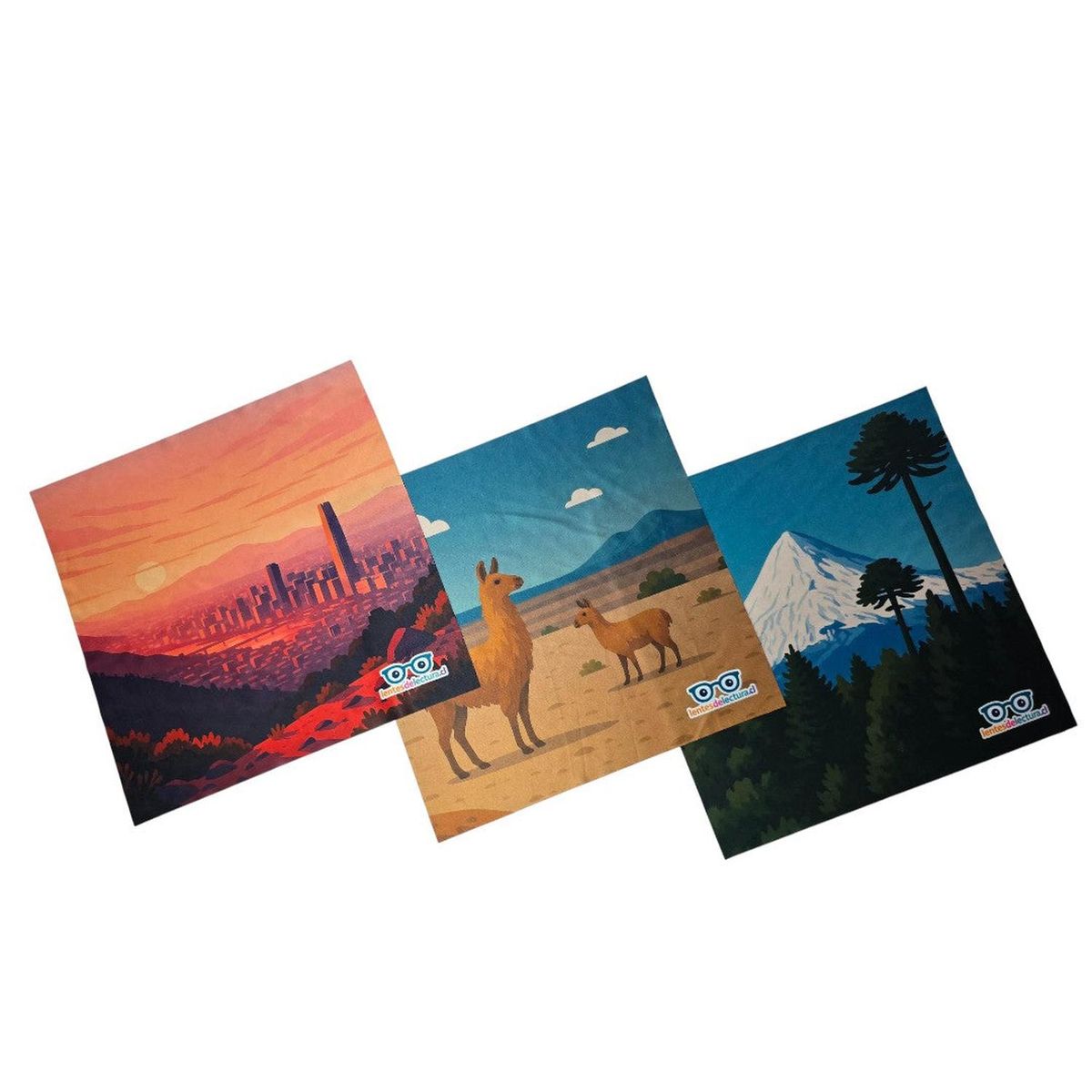 BUHU - Paño de limpieza Buhu - Pack 3 Unidades - Azul - XXL