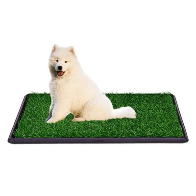 Imagen 2 del producto Baño Sanitario Perro X X L Ecológico Perros Baño 72cm x 50Cm