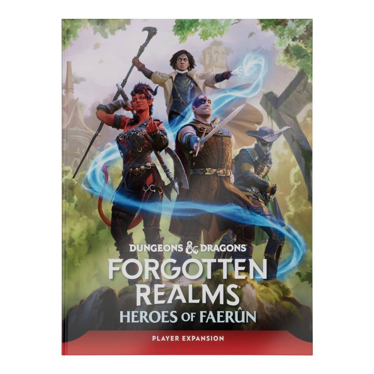WIZARDS OF THE COAST - Dungeons & Dragons: Heroes of Faerun