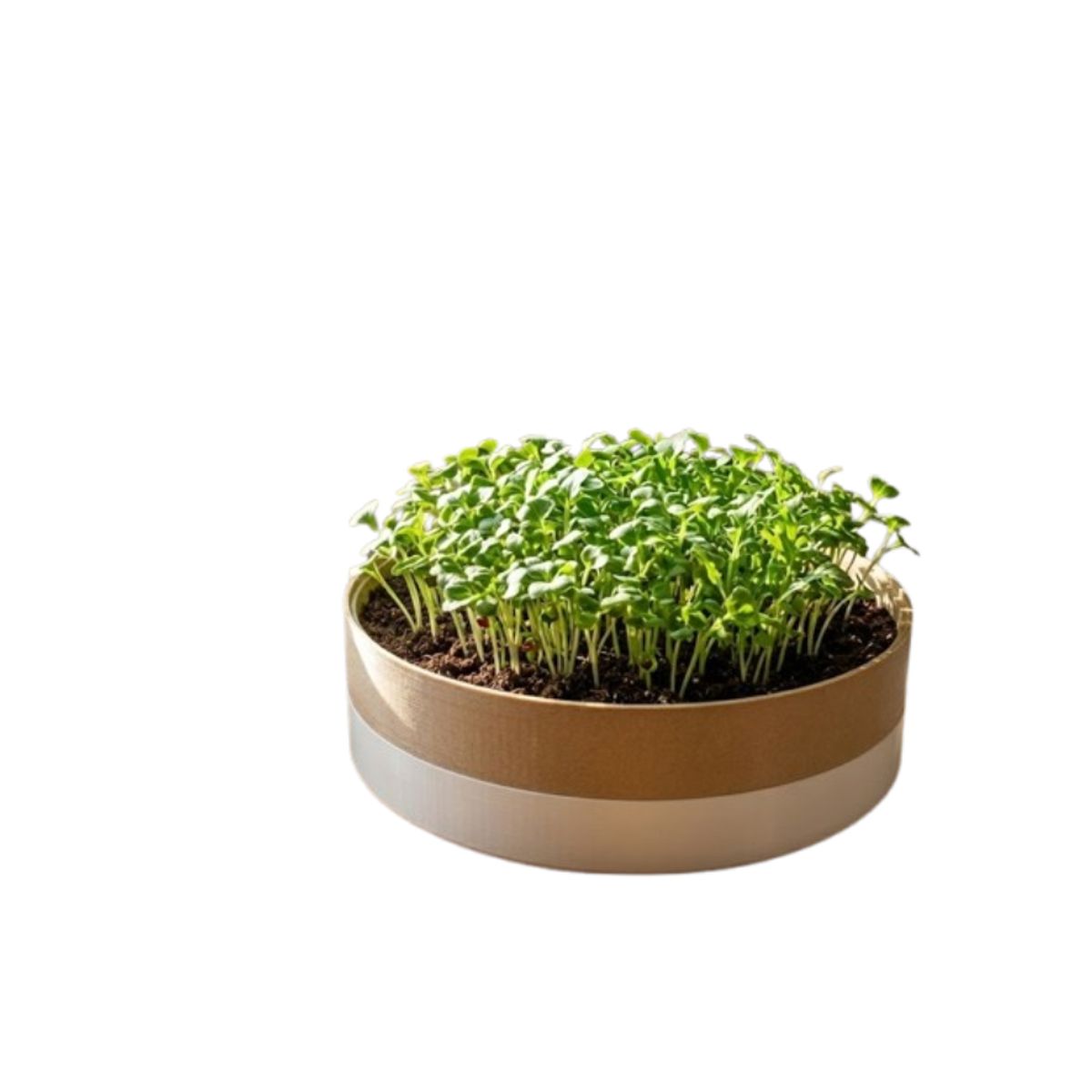 GENERICO - Macetero Modular para Microvegetales