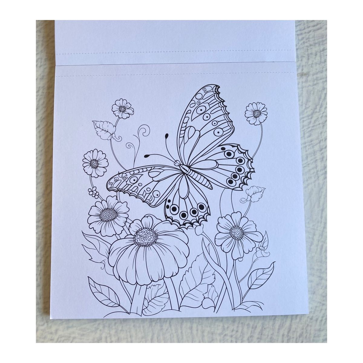 MOTARRO - Libro - Block para colorear - La danza de las mariposas