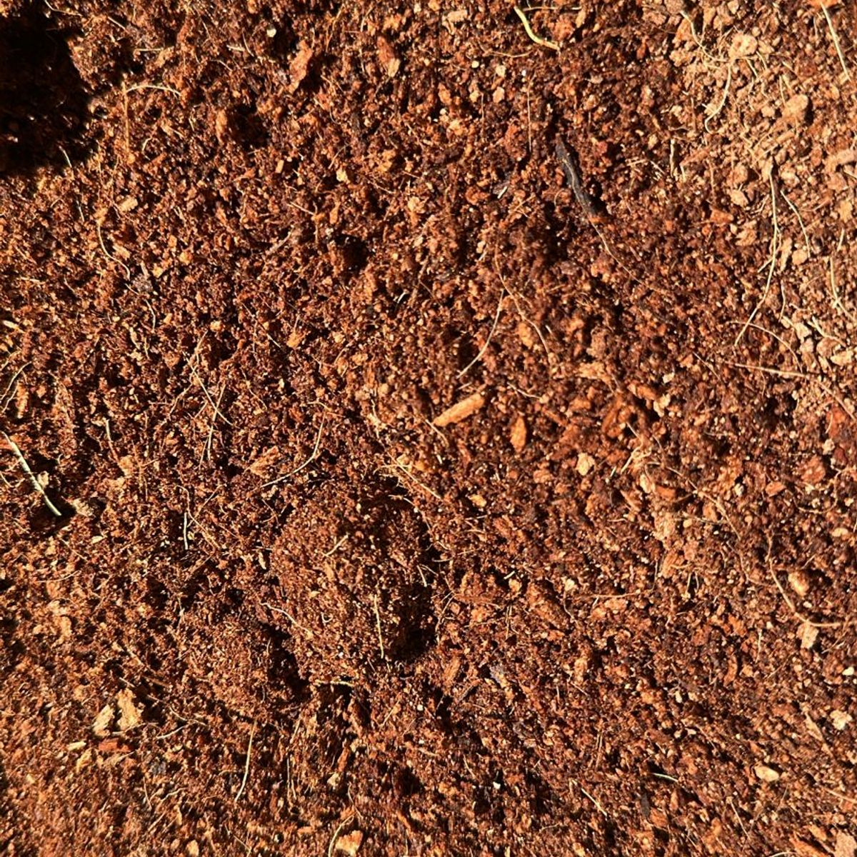 GENERICO - Fibra De Coco Expandida 5 Litros