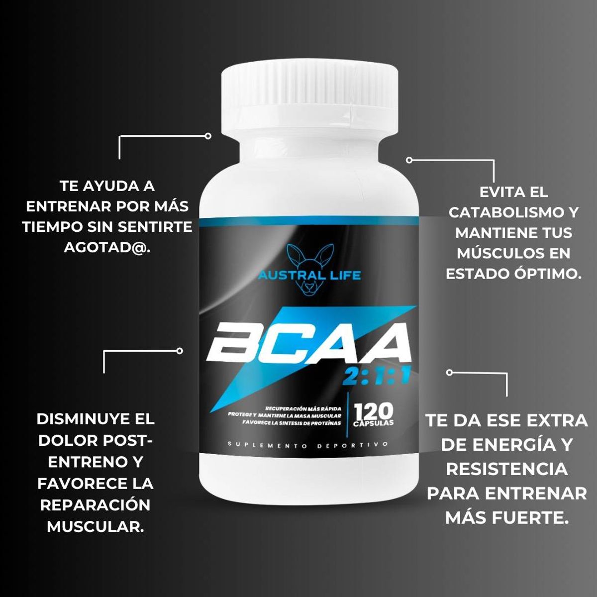 GENERICO - Aminoácidos BCAAs 2:1:1 – 120 Capsulas-Austral Life