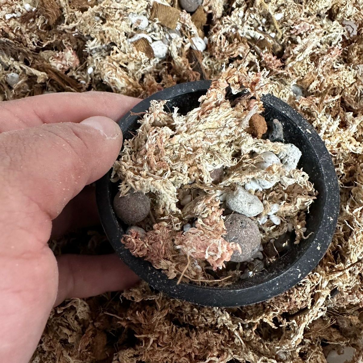 GENERICO - Sustrato Para Orquídeas Premium Mix 5 Litros