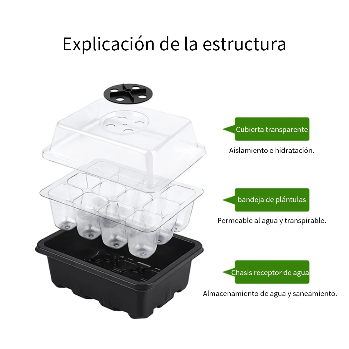 KINDA NICE - Caja De Semillero De 12 Agujeros Lote De 5