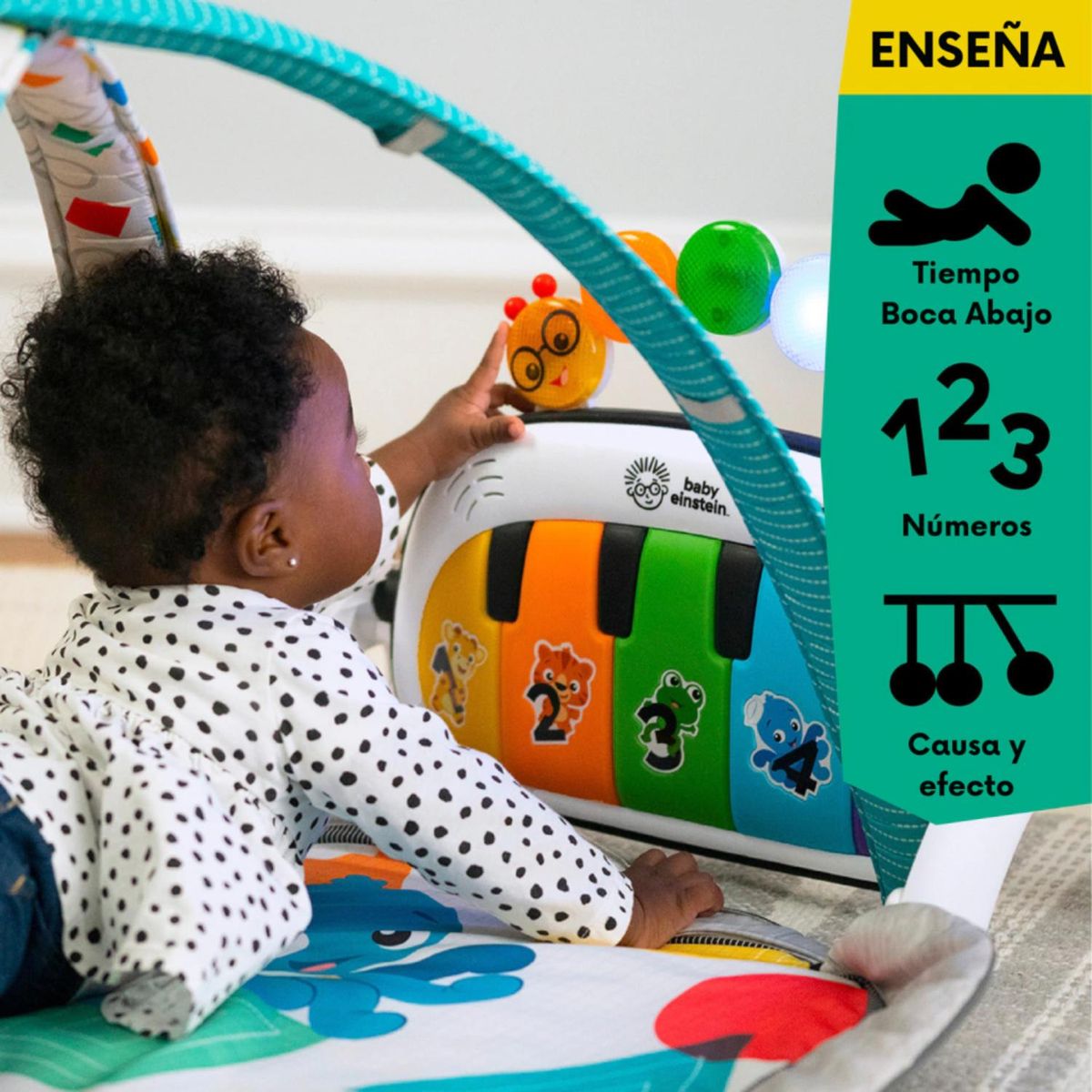BABY EINSTEIN - Gimnasio Discovery Gym Pataditas Baby Einstein