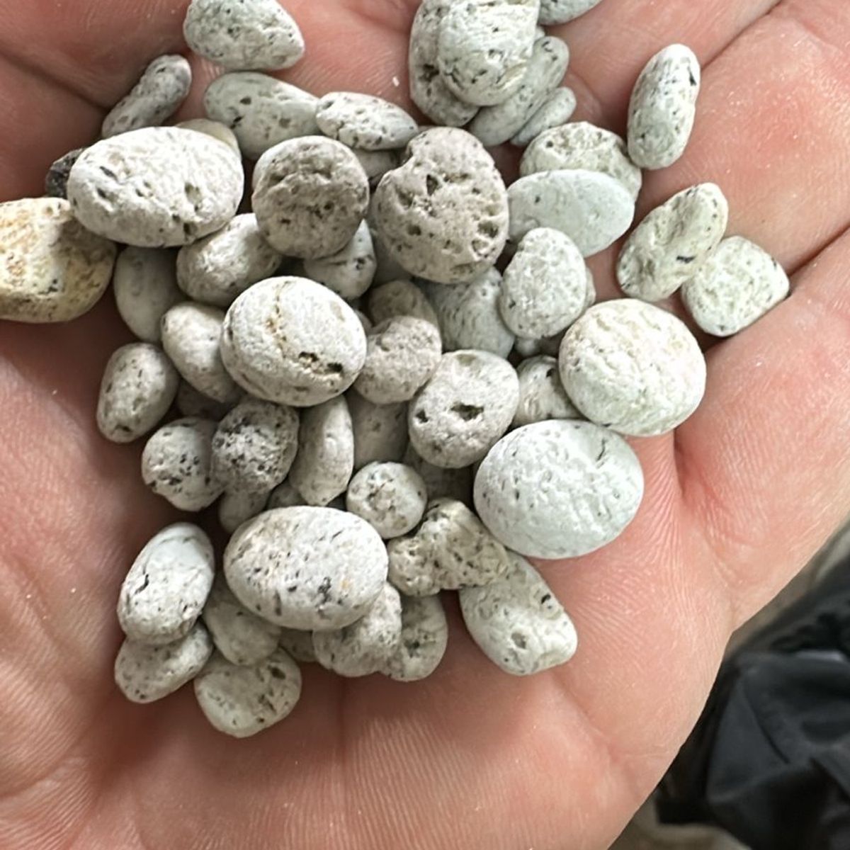 GENERICO - Sustrato Piedra Pómez 0,7 - 1.2 Cm Seleccionada 1 Litro Pomez