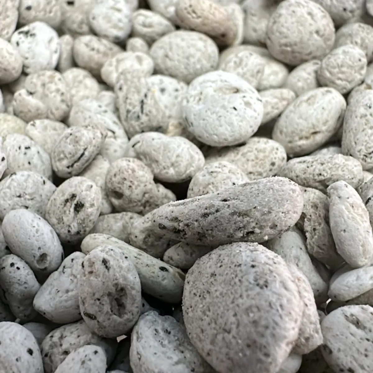 GENERICO - Sustrato Piedra Pómez 0,7 - 1.2 Cm Seleccionada 5 Litros Pomez