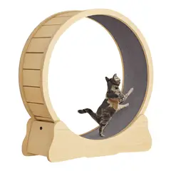 HOOPET - Rueda De Ejercicio Para Gatos Beige